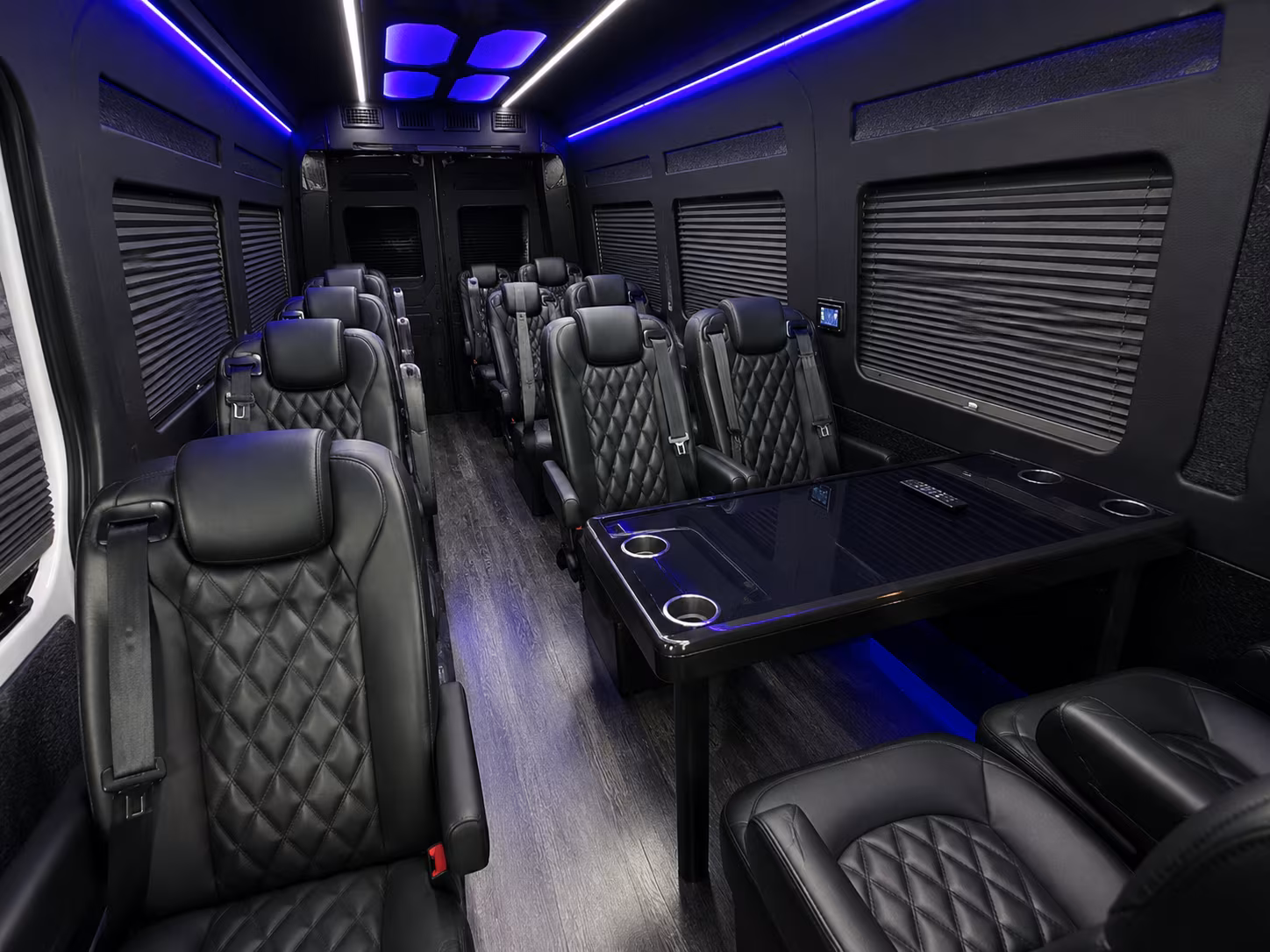 phoenix 12 passenger sprinter van interior