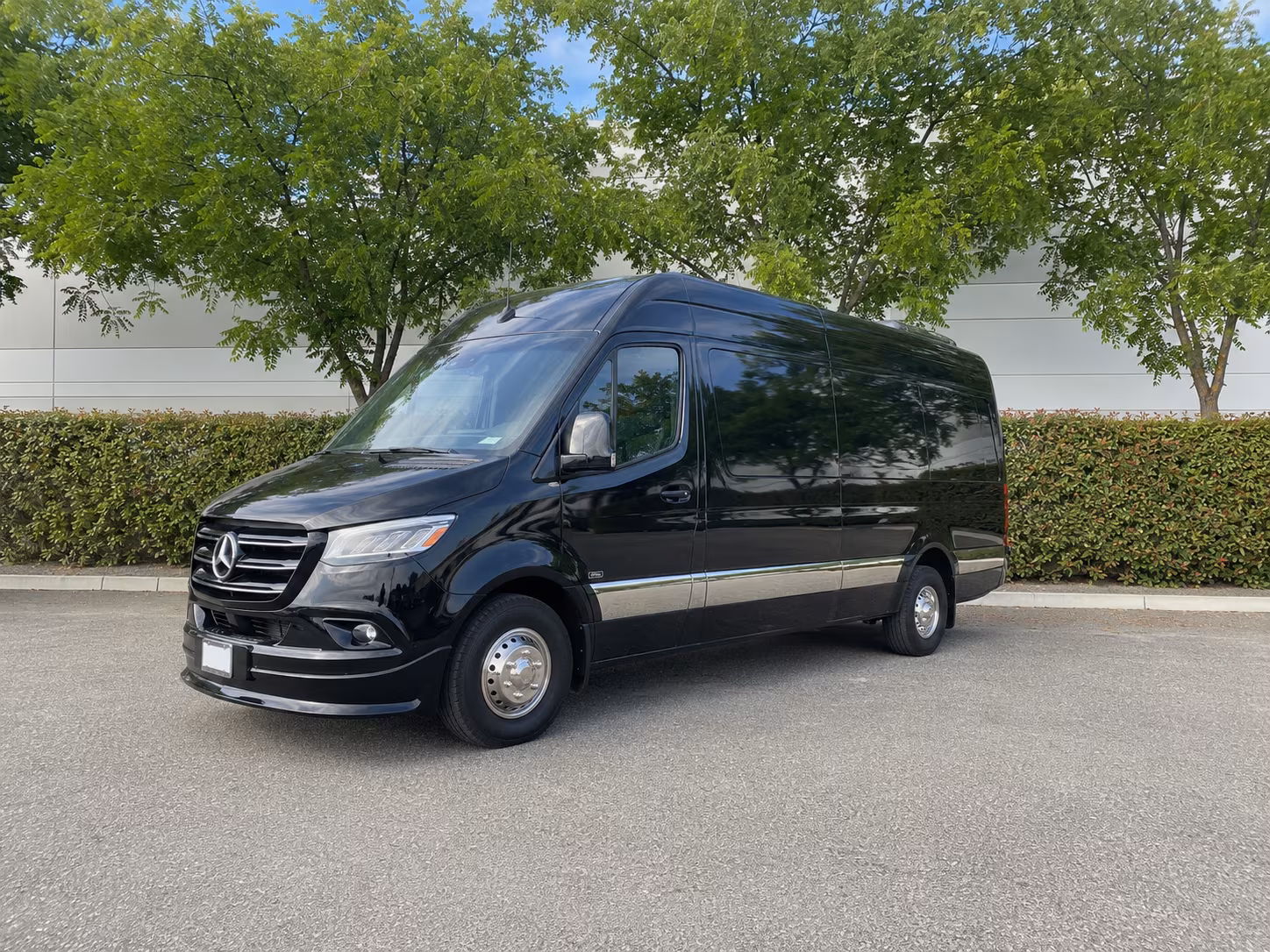 phoenix 12 passenger sprinter van