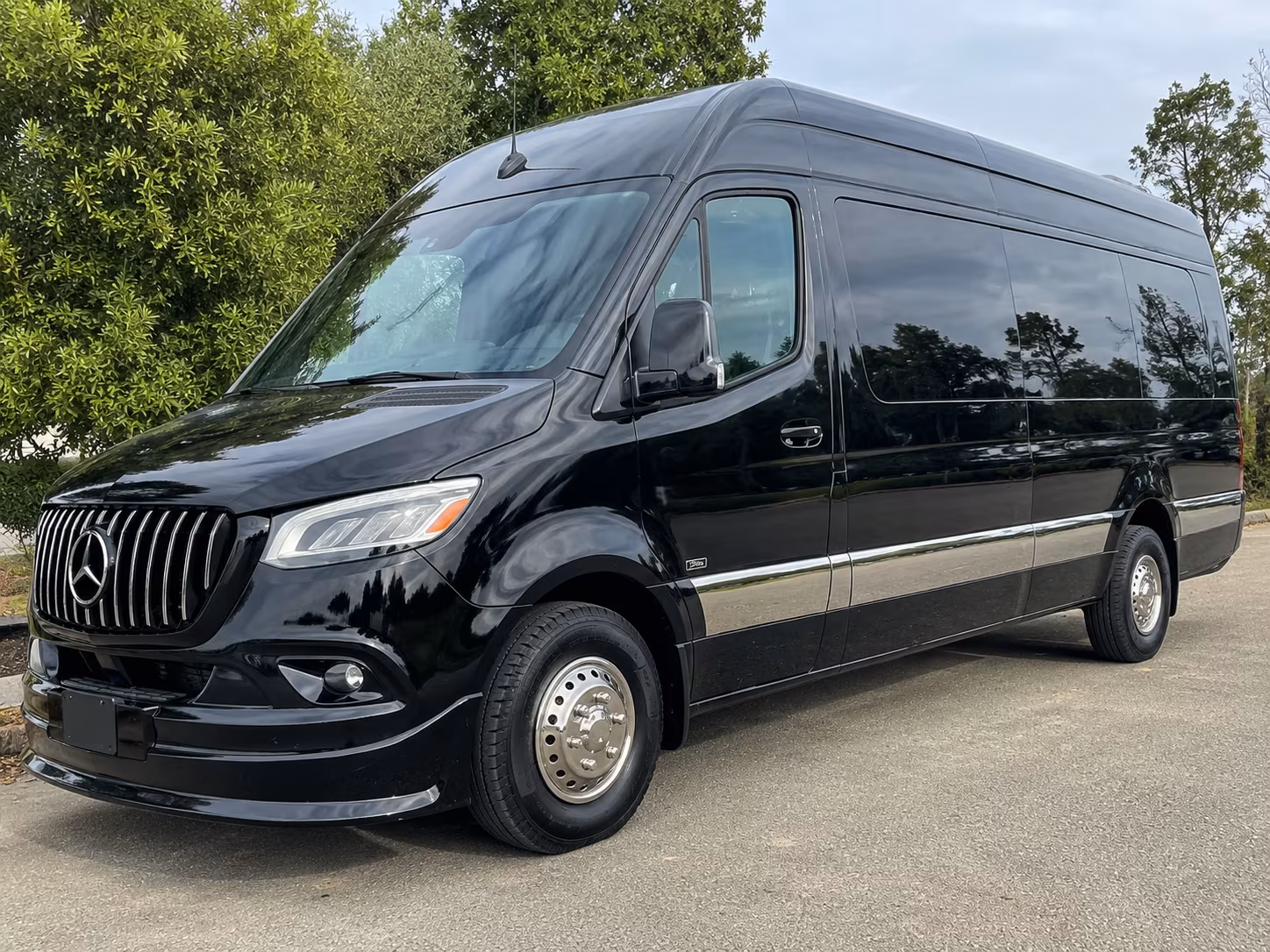 phoenix 15 passenger sprinter van