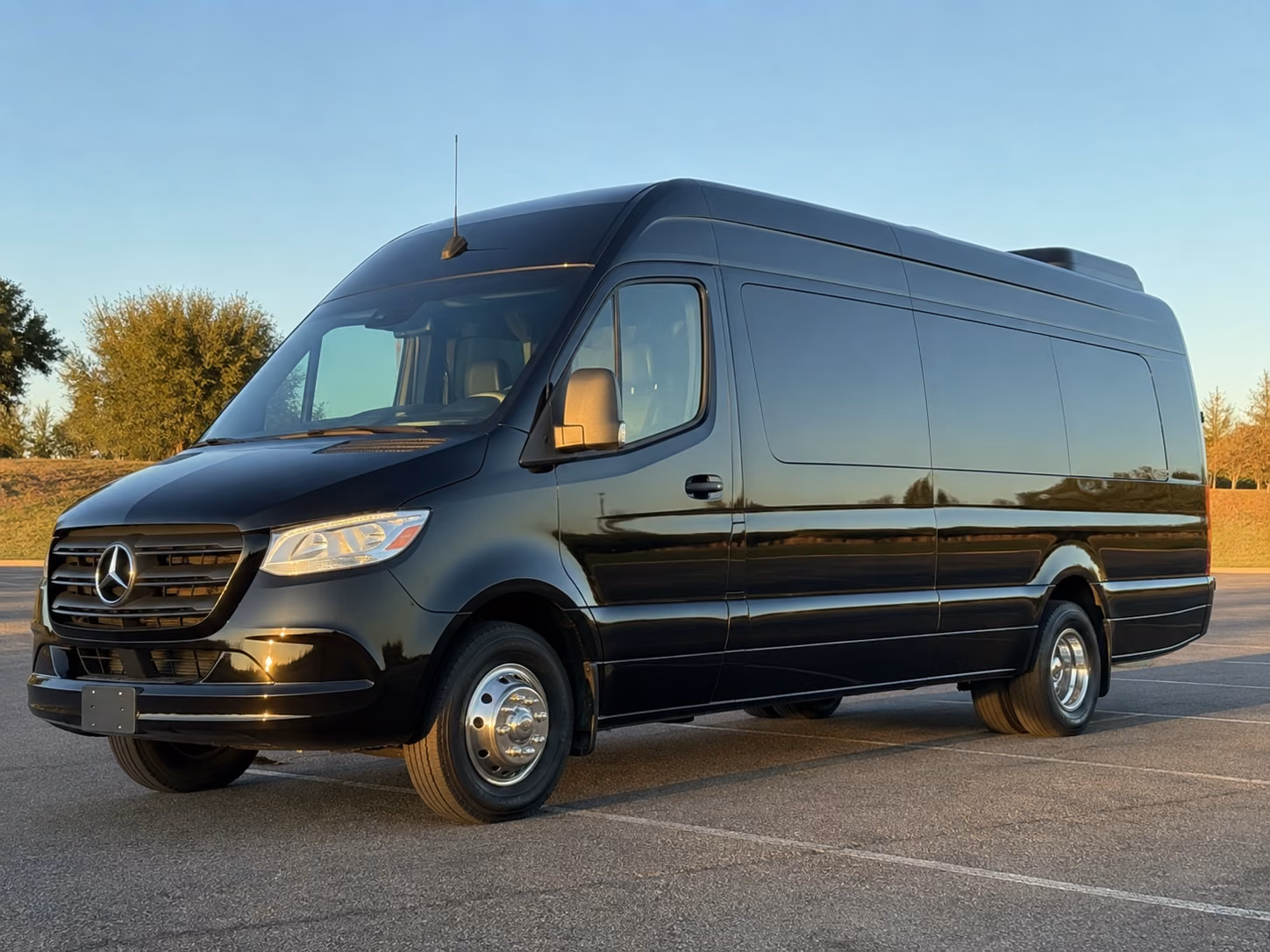 phoenix 20 passenger sprinter van